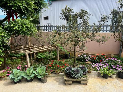 a garden with a bunch of flowers and plants at Homestay Bảo Lộc Ngọc Kim in Bao Loc