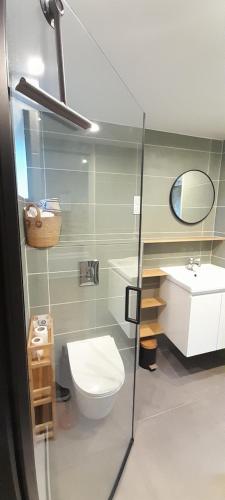 une salle de bain avec toilettes et lavabo dans l'établissement Gîte La Bergerie et sa piscine chauffée, à Meyrieux-Trouet