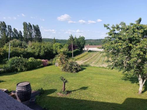 a green yard with trees and a field of grass at La Tour de Jeanne, à 10 minutes de Saint-Emilion in Gardegan-et-Tourtirac