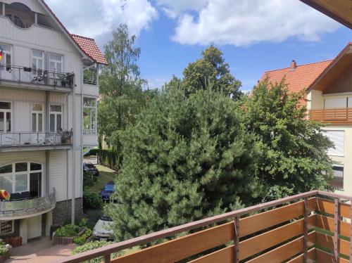 desde el balcón de una casa con un árbol en Ferienwohnung Traum an der Radau, en Bad Harzburg
