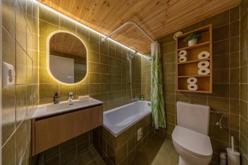 a bathroom with a sink and a toilet and a mirror at Petit Nid au Chaedoz - Nendaz, 4 Vallées in Nendaz