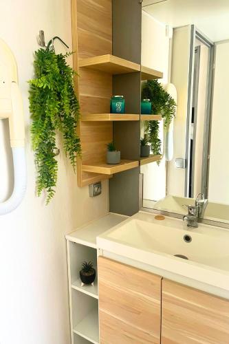 La salle de bains est pourvue d'un lavabo et de plantes en pot. dans l'établissement Village de chalets et camping La Pierre de l'Aigle, à La Bréole