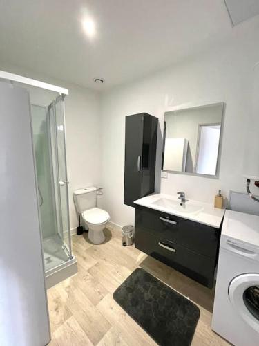 une salle de bain avec toilettes, lavabo et douche dans l'établissement Appartement rénové, proche gare, à Bourg-de-Péage