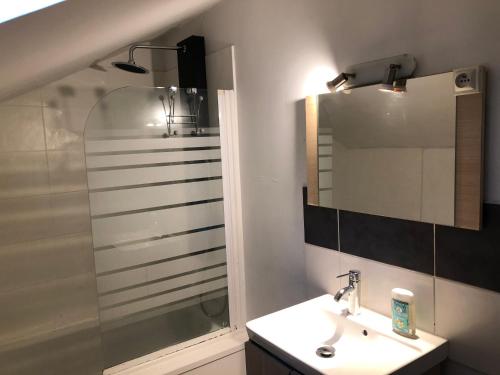 a bathroom with a sink and a shower and a mirror at Appart Hotel Le Victor Hugo Art Mechanical et sa pizza offerte in Aurillac