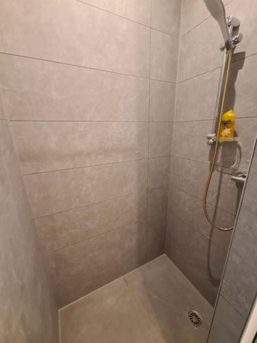 une douche avec une porte vitrée dans une salle de bain dans l'établissement La cigogne d'Alsace 3, à Sélestat