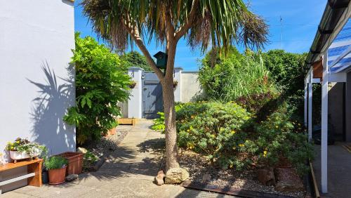 a palm tree in a garden next to a house at The Nest Number 2 in Rosslare Harbour
