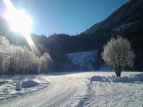 a snow covered road with a tree and the sun at Gasthof Schütthof in Neukirchen am Großvenediger
