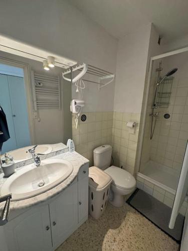 une salle de bain avec un lavabo, des toilettes et une douche dans l'établissement Appartement - Cap d'Agde, au Cap d'Agde