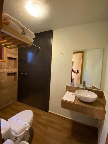a bathroom with a sink and a toilet and a mirror at Hotel Cabaña iilldaa in Malinalco