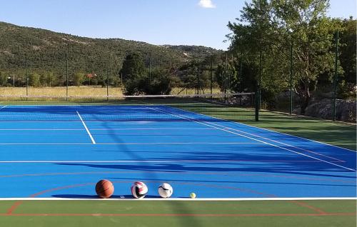 a tennis court with three basketballs on top of it at Gorgeous Home In Neoric With Sauna in Neorić