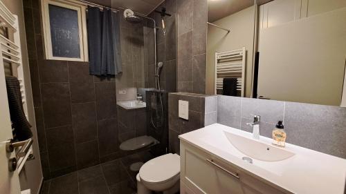 a bathroom with a sink and a toilet and a shower at Central & cozy in Reykjavík