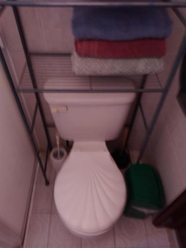 a bathroom with a toilet with towels on a shelf at Cómoda habitación para descansar in Toluca