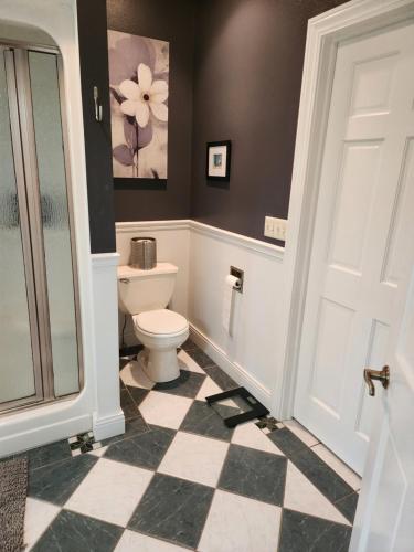 a bathroom with a toilet and a glass door at Simon in Kaukauna
