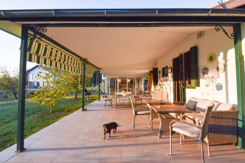 a dog standing on a patio with tables and chairs at Vila Valentina in Irig