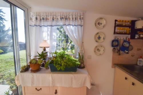 a kitchen with a window with plants on a table at Vila Valentina in Irig