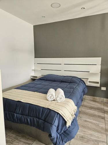 a bedroom with a bed with two pillows on it at Loft Los Sauces 850 in General Roca