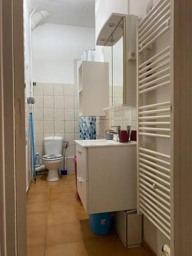 une salle de bain avec un lavabo et des toilettes dans l'établissement Appartement spacieux à Lézignan-Corbières de 75 m², à Lézignan-Corbières