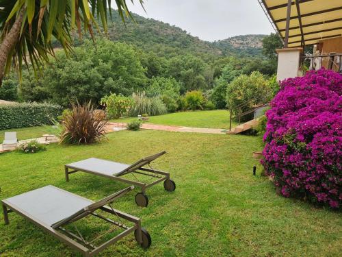 Imagen de la galería de Villa charmante au Plan-de-la-Tour avec piscine privée, en Sainte-Maxime