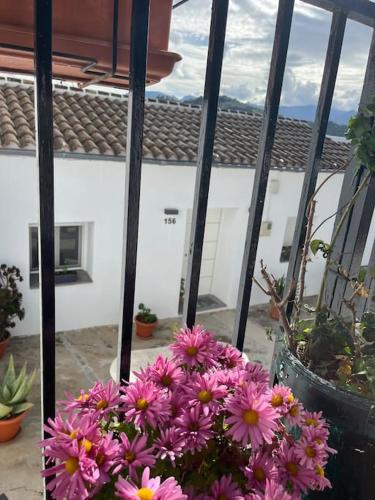 a bunch of pink flowers sitting on a balcony at Casa La Fuente Alta in Algodonales