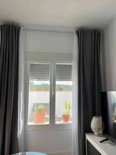 a window with two potted plants in a room at Casa La Fuente Alta in Algodonales