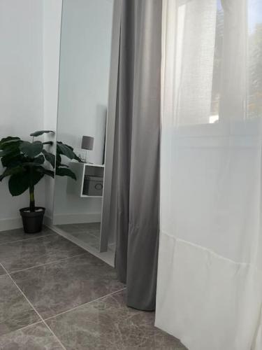 a room with a mirror and a potted plant at Casa La Fuente Alta in Algodonales