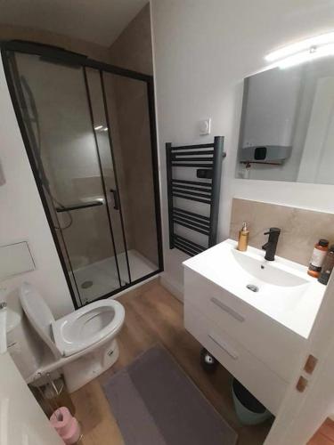 une salle de bain avec une douche, des toilettes et un lavabo dans l'établissement Appartement 2 personnes - fibre, à Dijon