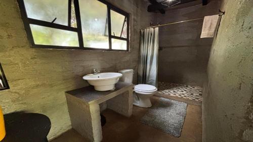 a bathroom with a sink and a toilet and a window at Aloe Tree Guest House in Krugersdorp