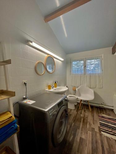 une machine à laver dans une salle de bain avec toilettes dans l'établissement Maisonnette 2 à 4 pers- Jardin privatif clôturé- Calme- Stationnement Gratuit- Pau Ouest Billère, à Billère