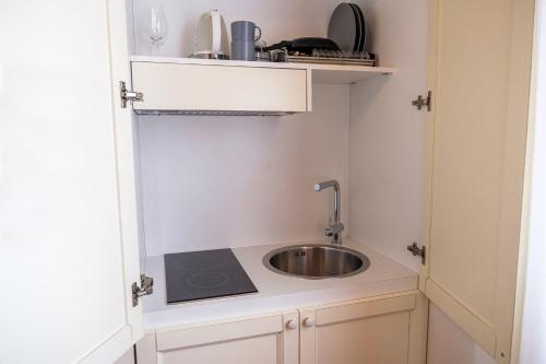 a small kitchen with a sink in a room at Agriturismo Le Volpi in Baone