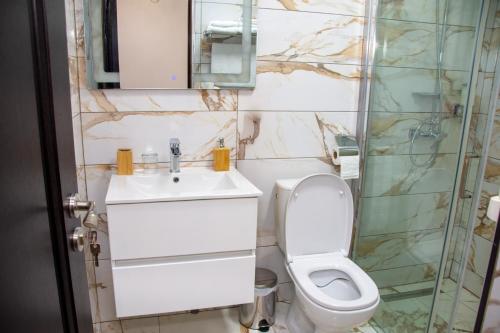 a bathroom with a toilet and a sink and a shower at Casa Ana in Câmpulung Moldovenesc