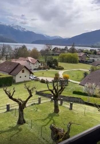 - une vue sur un champ planté d'arbres et de maisons dans l'établissement Charmant appartement avec vue lac et montagnes, à Sévrier