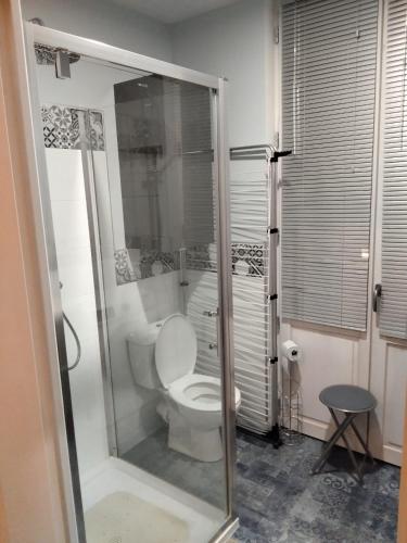 La salle de bains est pourvue de toilettes et d'une porte de douche en verre. dans l'établissement Les mouflons, à La Bourboule