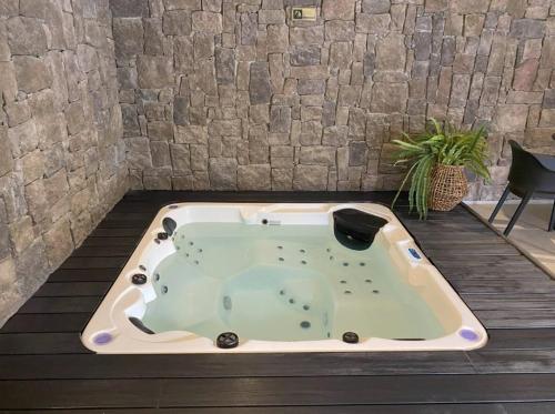 a jacuzzi tub sitting on a table with a plant at Depa con piscina frente al Lago Llanquihue y vista al volcán in Puerto Varas