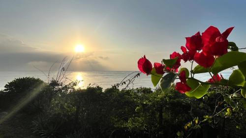 a sunset over the ocean with red flowers in the foreground at Wagawimbi Villa 560 m2, Breathtaking View of the Indian Ocean, Kenya in Shimoni
