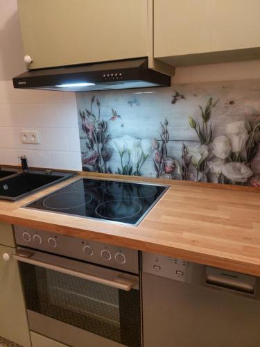 Η κουζίνα ή μικρή κουζίνα στο Apartment Erika