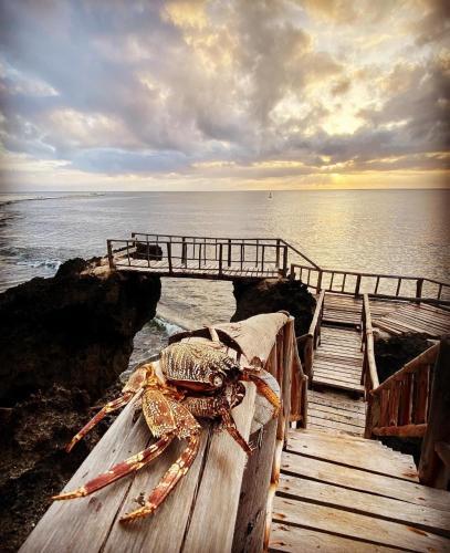 a lobster sitting on a wooden pier next to the ocean at Wagawimbi Villa 560 m2, Breathtaking View of the Indian Ocean, Kenya in Shimoni