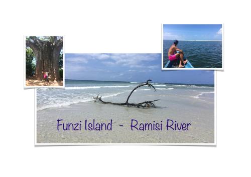 three pictures of the ocean with a bird on the beach at Wagawimbi Villa 560 m2, Breathtaking View of the Indian Ocean, Kenya in Shimoni