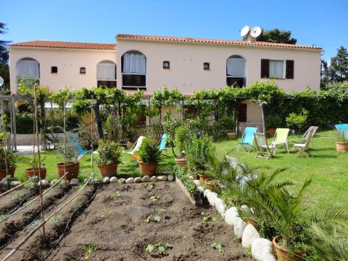 a garden in front of a house at Hôtel Punta e Mare des Chambres ou des Appartements T2 in Cargèse