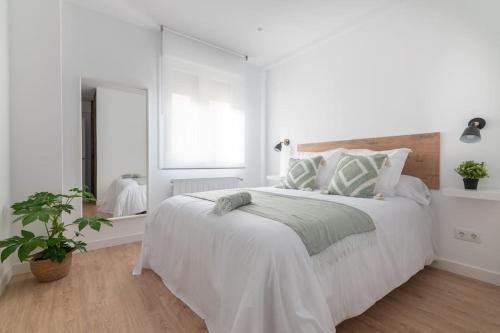 G-3-Encanto y comodidad en el centro de Santander