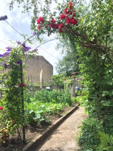 a garden with red roses hanging from a fence at Au Petit Ry in Treignes