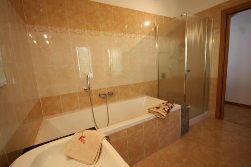 a bathroom with a bath tub and a shower at The Balcony on the Lake in Dizzasco