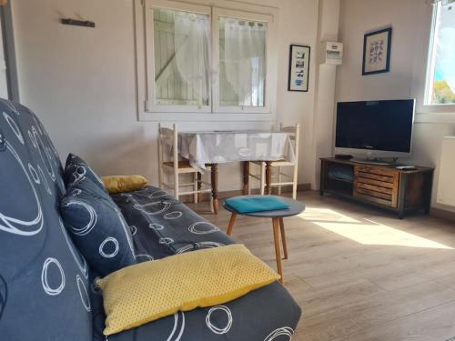 un salon avec un canapé et une télévision dans l'établissement Deux-pièces en campagne avec terrasse, à Duhort-Bachen