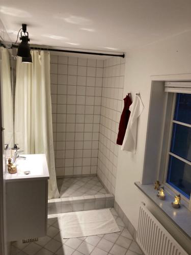 a bathroom with a shower and a sink at Jul i Skovhuset in Ringsted