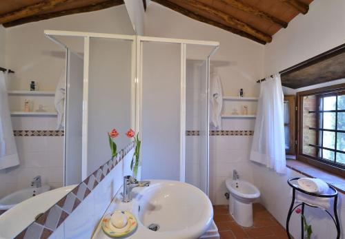 Un baño con lavabo, ducha e inodoro. en La Contessina at Montebuoni, en Gaiole in Chianti