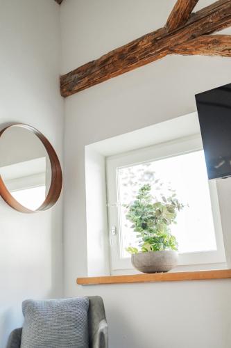 a mirror on a shelf next to a window with a potted plant at Innsbruck City Chalet in Innsbruck
