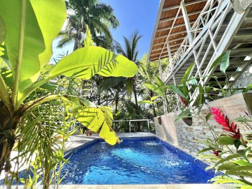 a swimming pool surrounded by plants and a building at Casa Amable - Manuel Antonio in Quepos