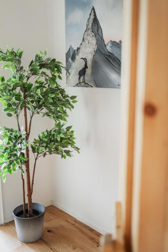 a plant in a pot next to a picture of a cat at Innsbruck City Chalet in Innsbruck