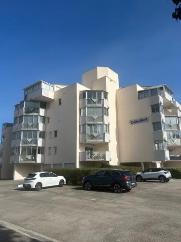 Magnifique appartement grau du roi