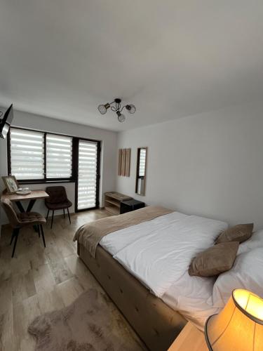 a bedroom with a large bed and a desk at Casa Ana in Câmpulung Moldovenesc