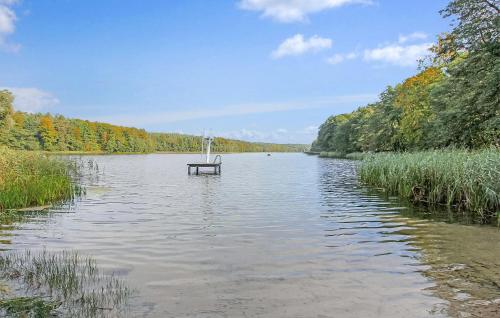 a bench sitting in the middle of a lake at Ferienhaus Boitzenburger Land in Rosenow